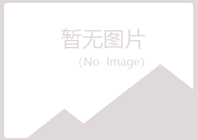 伊春冰夏计算机有限公司